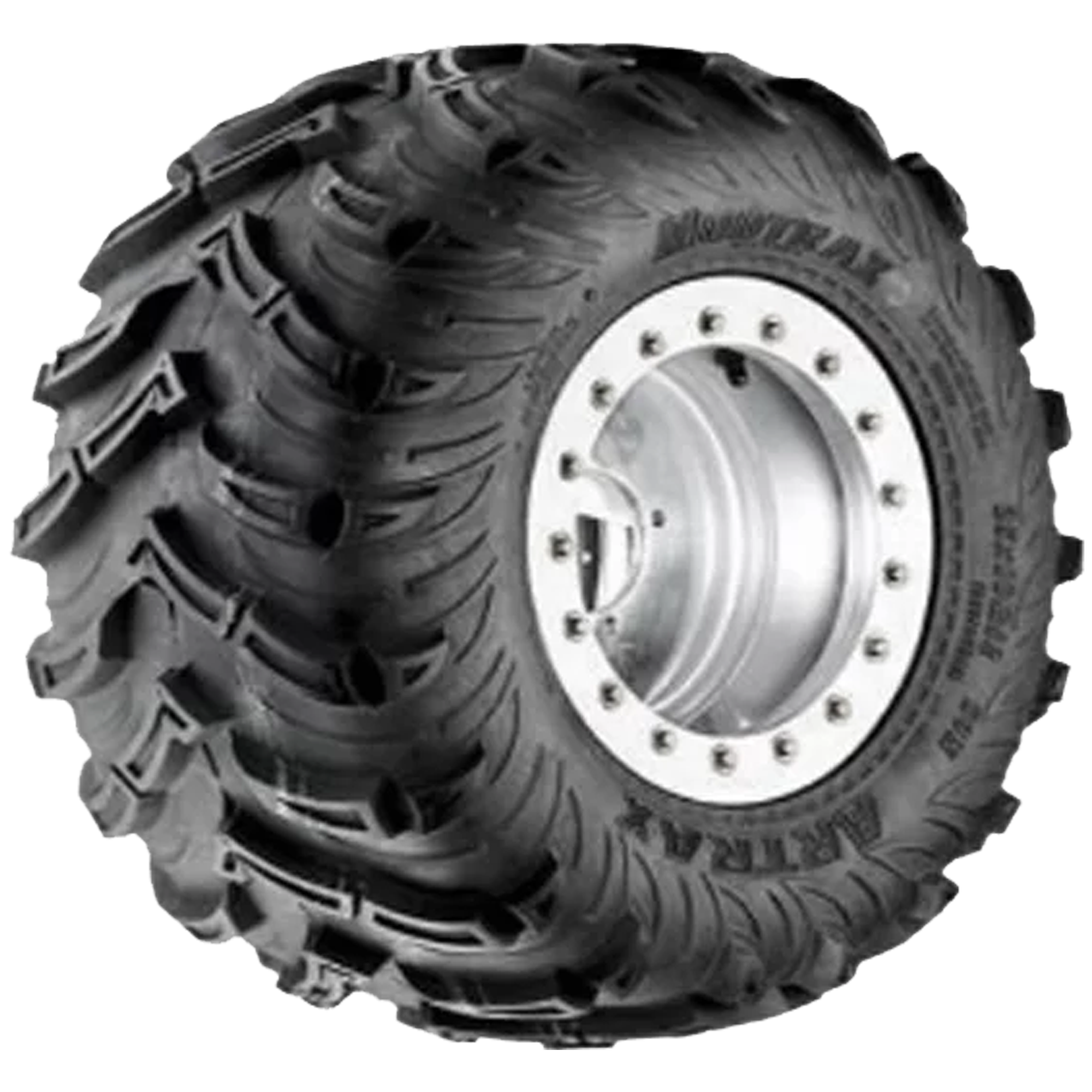 Artrax A-T1307 25x10 R12 50N