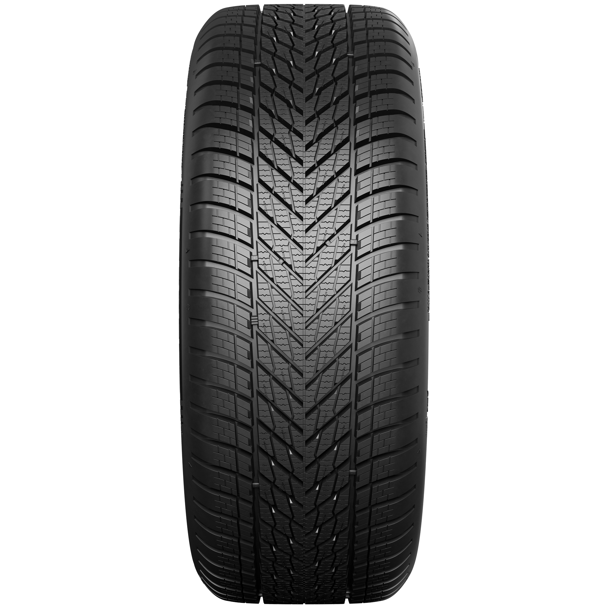 Dunlop Winter EVR 175/65 R17