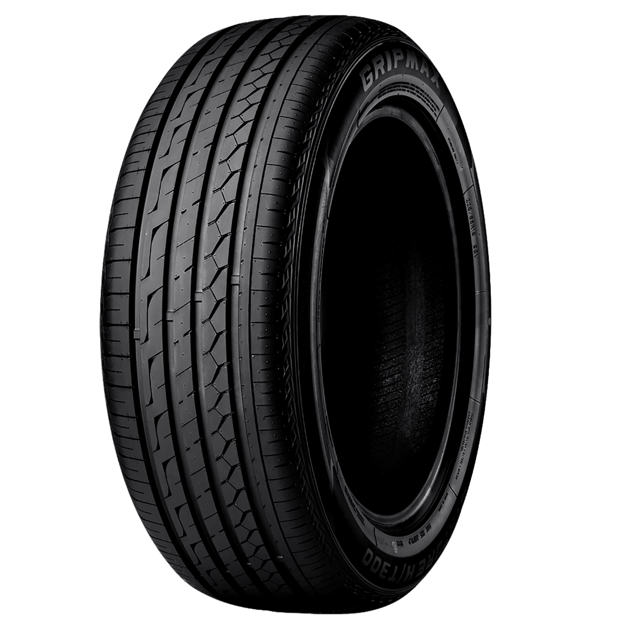 Gripmax Stature H/T 300 225/65 R17