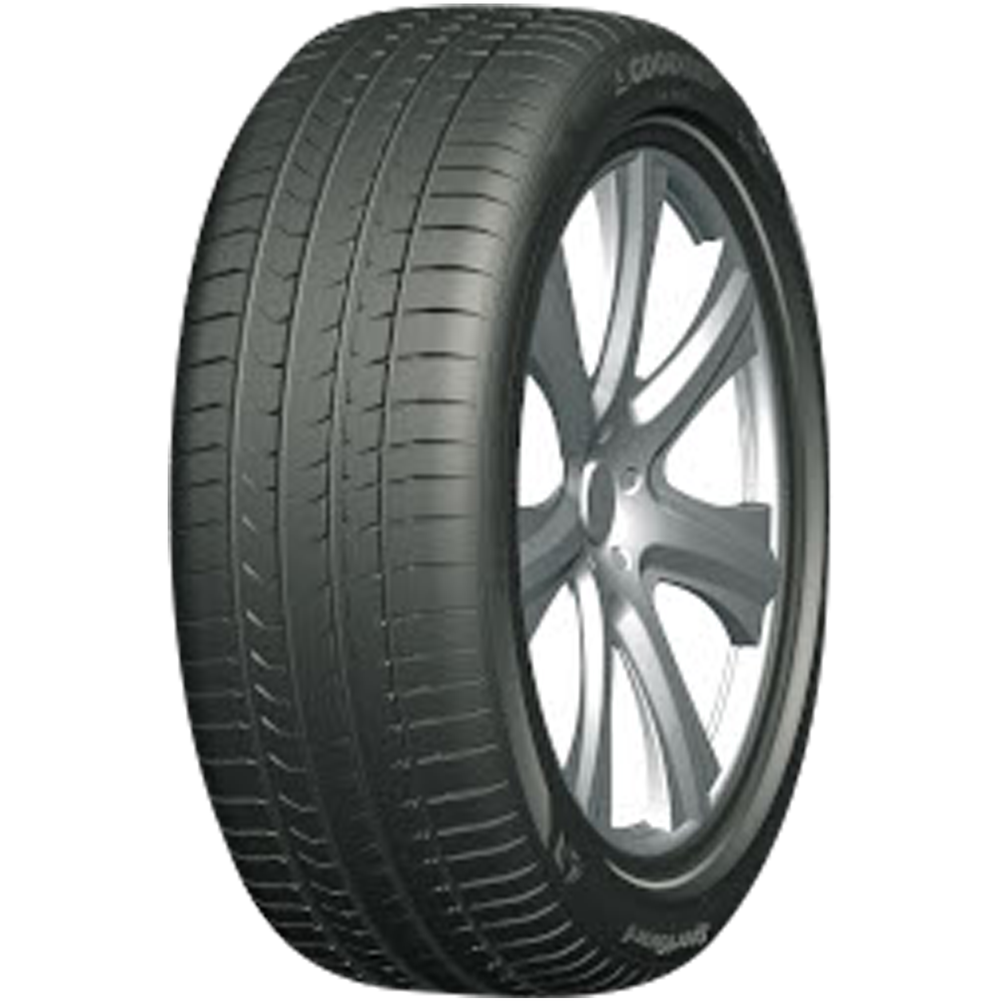 Goodtrip SportGuard XL 255/45 R20