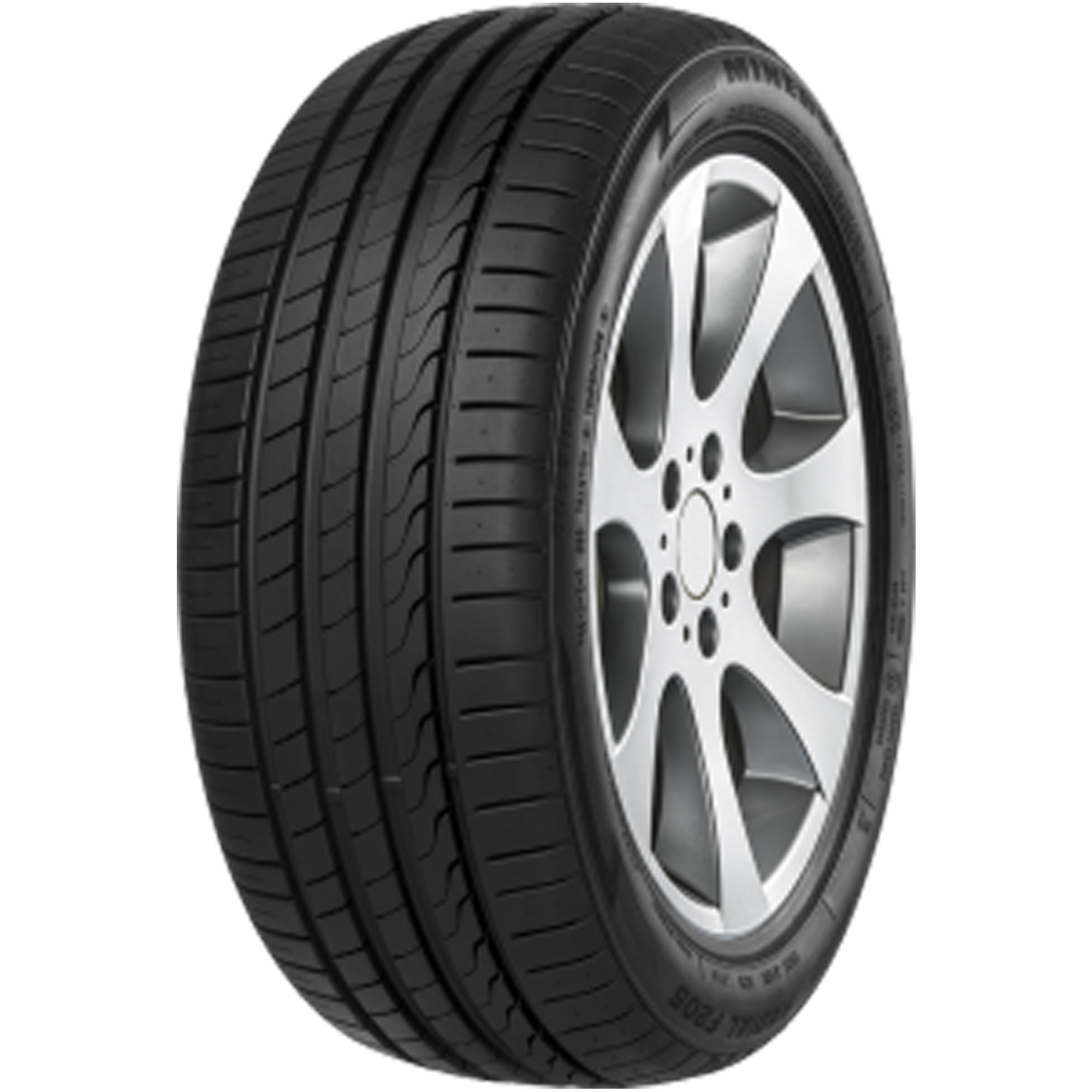 Minerva F205 255/40 R17