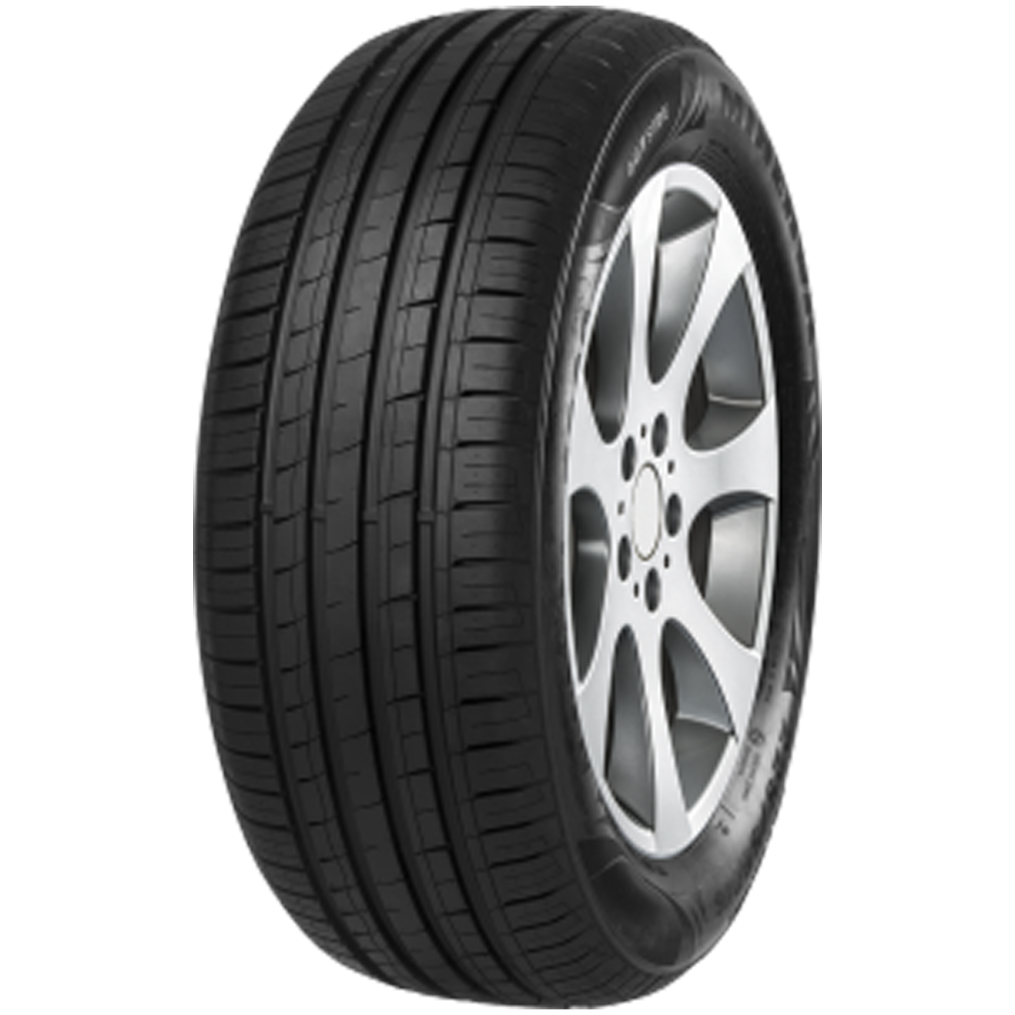 Minerva F209 205/70 R14