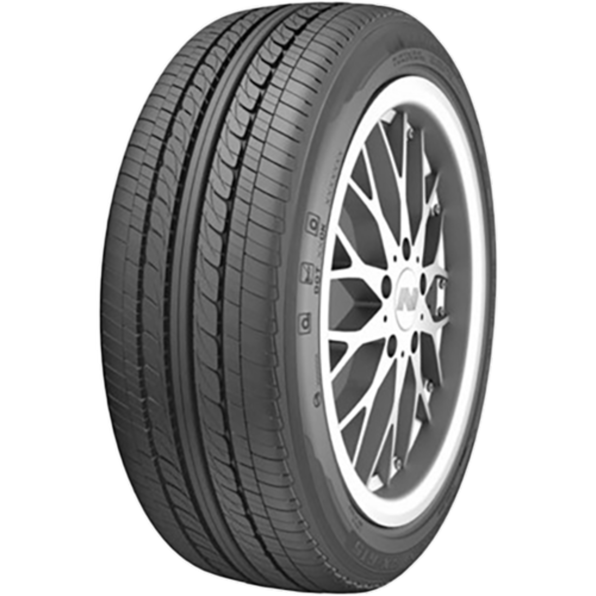 Nankang RX 615 205/65 R16