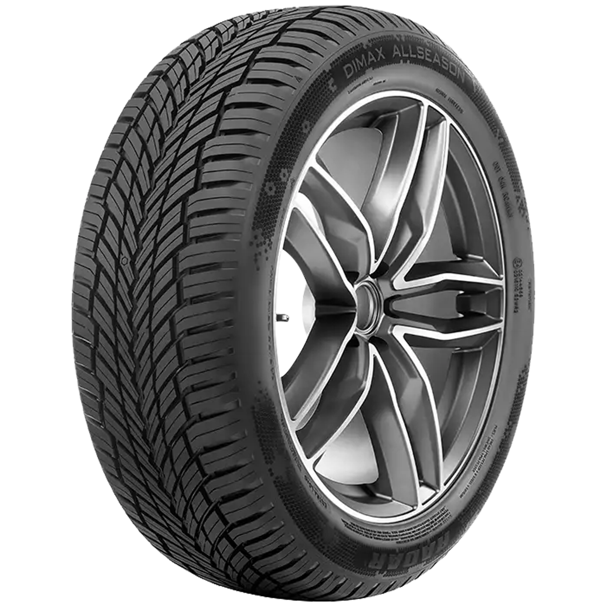 Radar Dimax All Season 185/55 R15