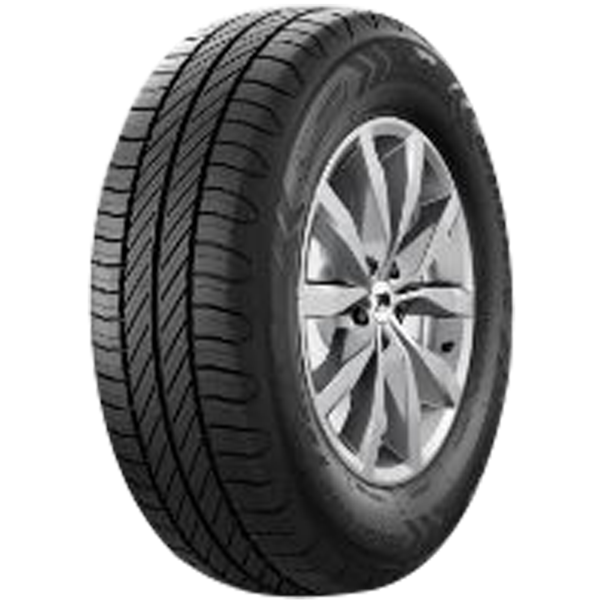 Taurus CargoSpeedEVO M+S 175/65 R14