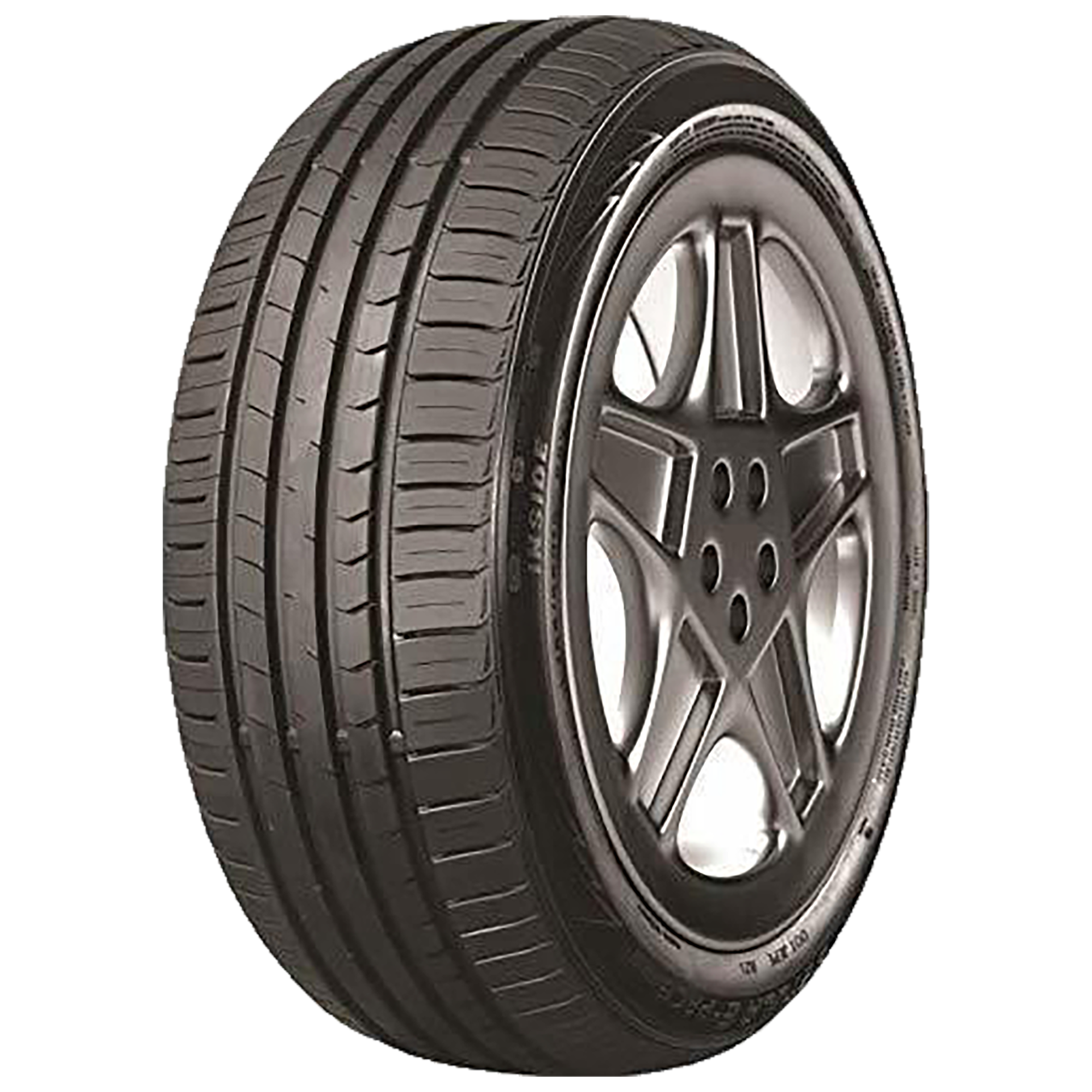 TracMax X-Privilo TX1 205/55 R16